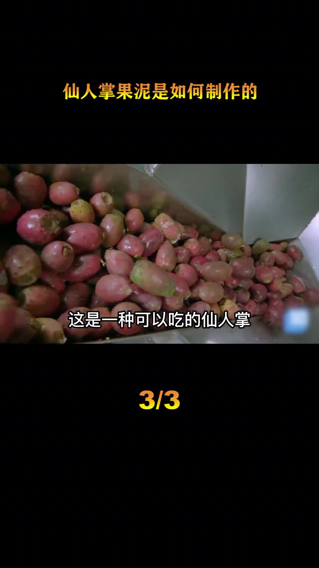 探访仙人掌果泥工厂可以吃的仙人掌揭幕农场到加工厂的全过程