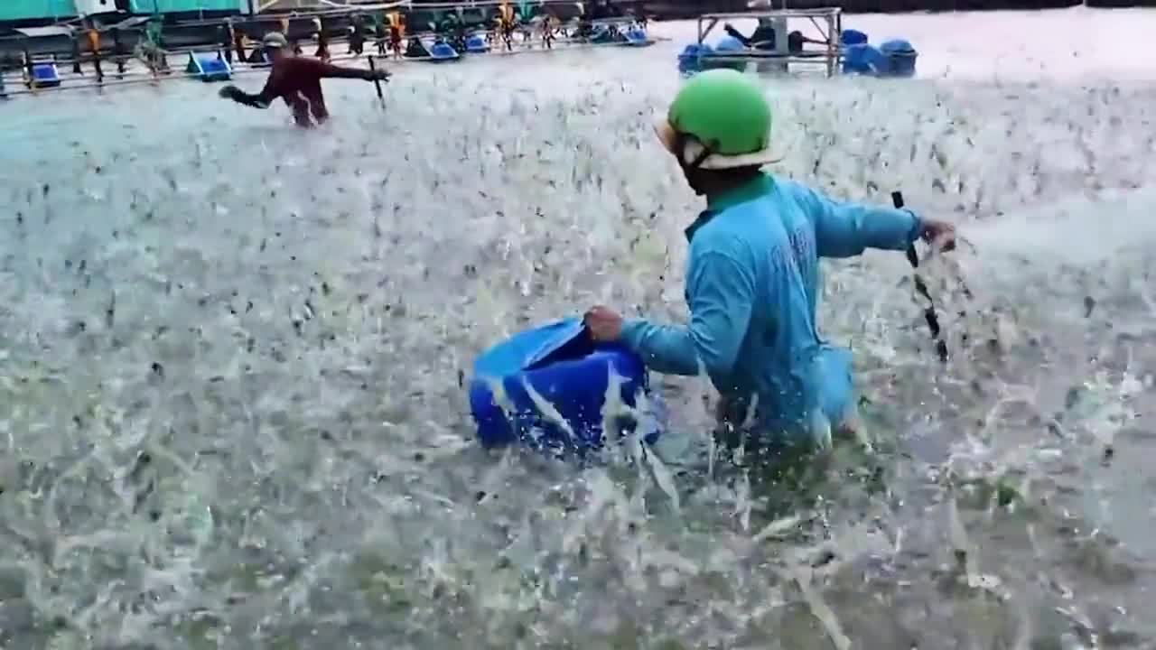 虾片是如何制作的