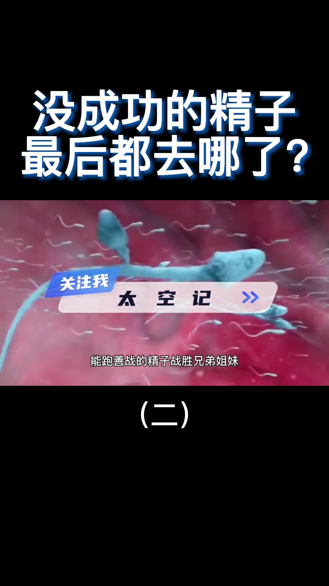 那些没有成功受精的精子最后都去哪了真是好笑又心疼