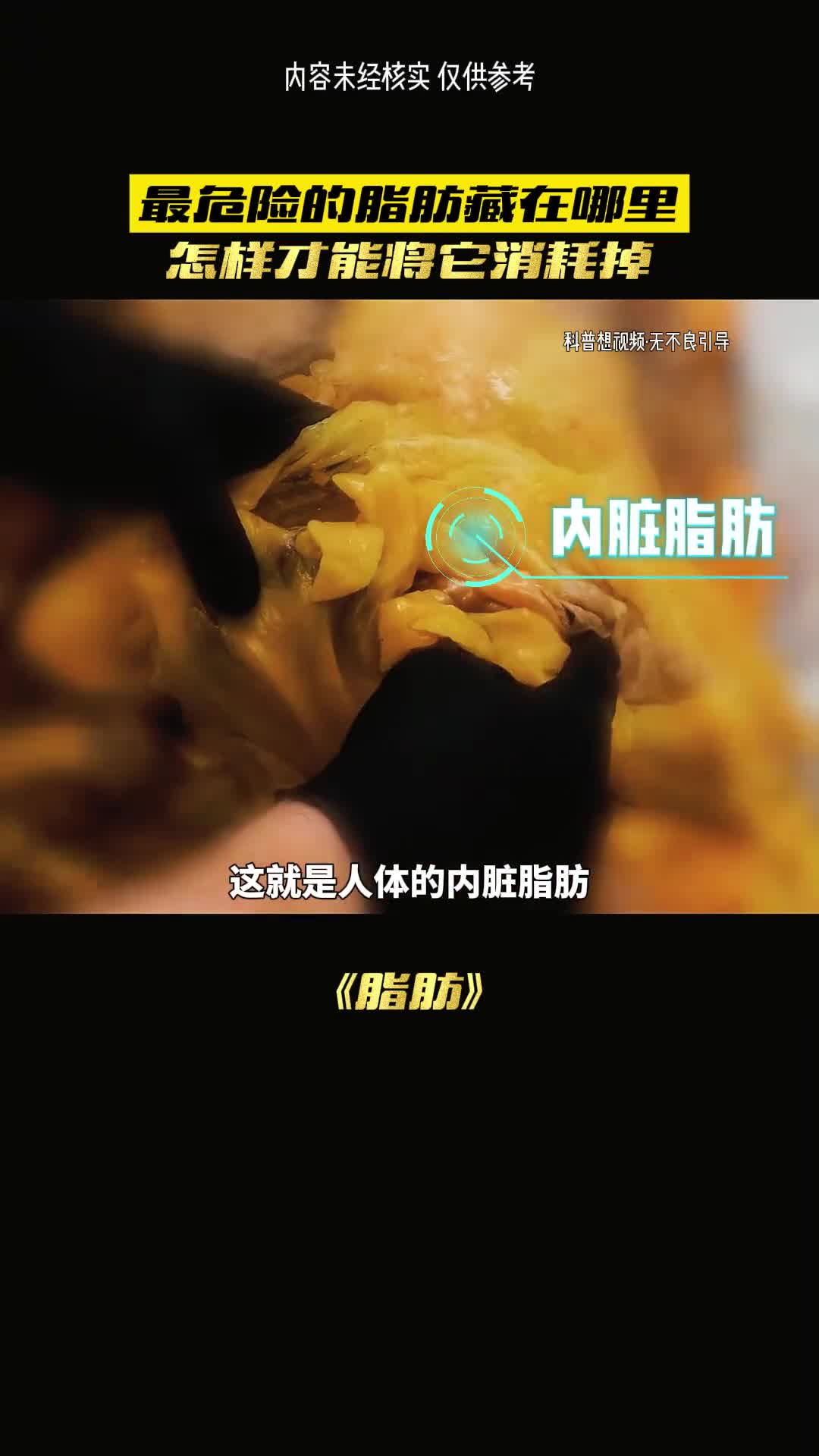 你见过这样的脂肪吗