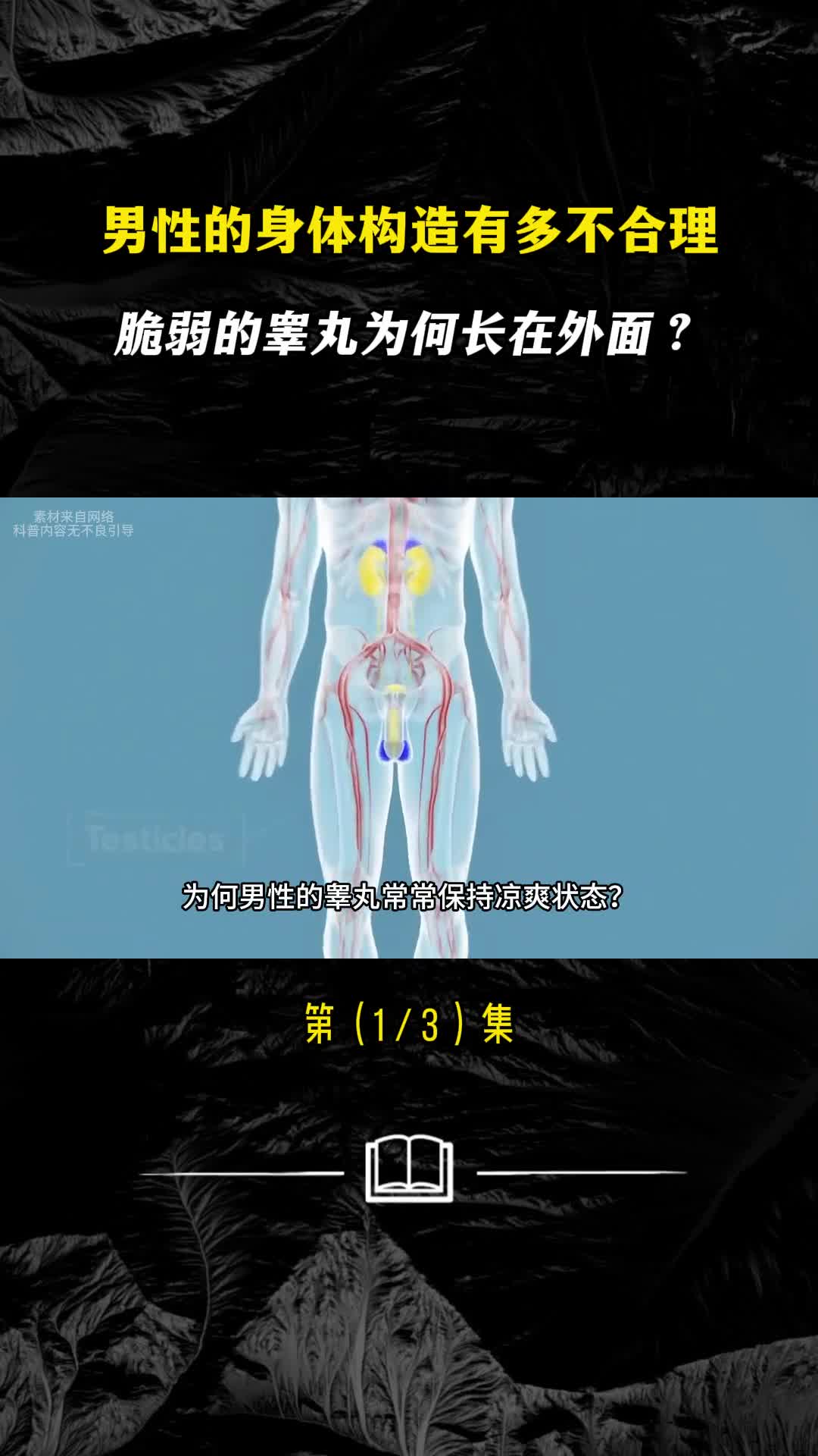 男性的身体构造有多不合理脆弱的睾丸为何长在外面