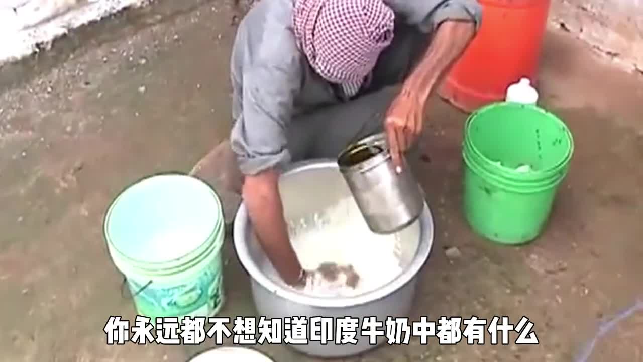 印度牛奶掺假有多疯狂你永远都不想知道里面都有什么