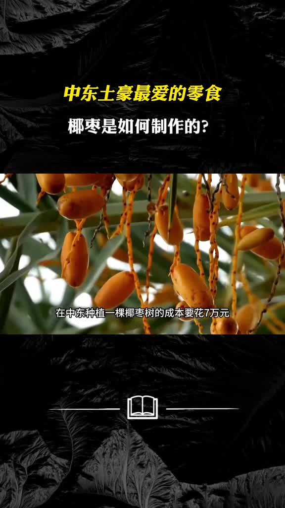 一口软糯香甜金丝椰枣为何如此受欢迎