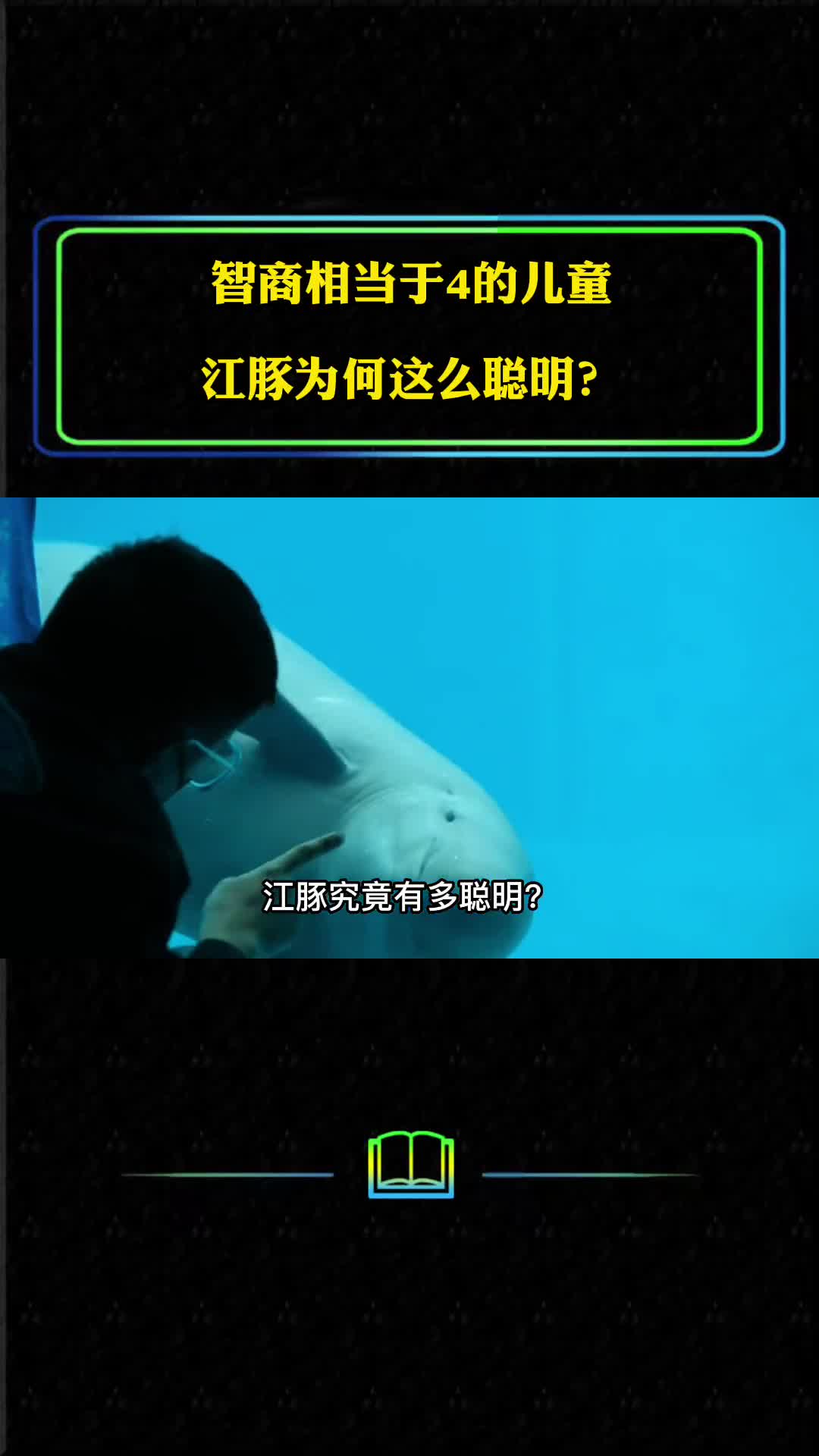 江豚究竟有多聪明为了捕食它们还懂得协同作战前后夹击