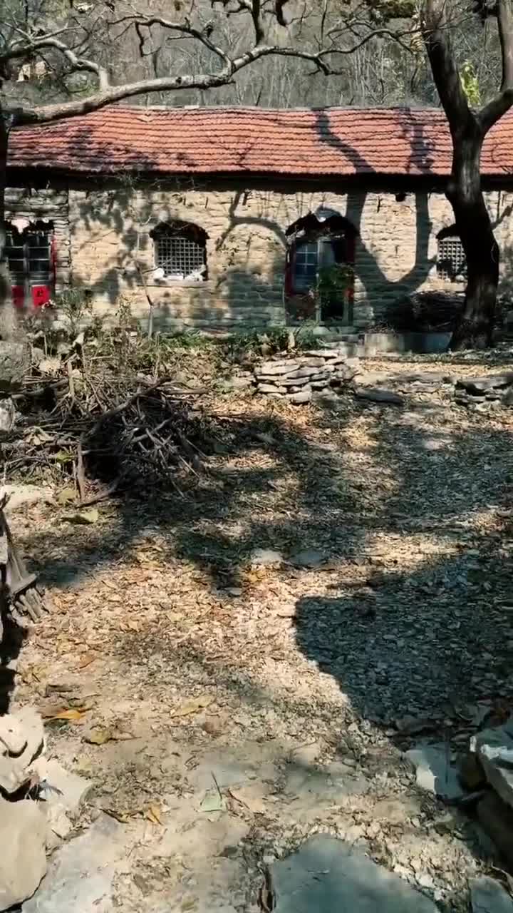 世界很大可只有家才能包容你的一切你多久没回家了抖音小助手