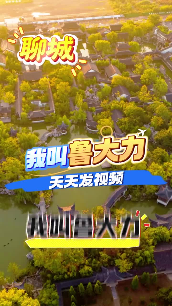 我是鲁大力我以为只要天天发视频粉丝就能蹭蹭涨