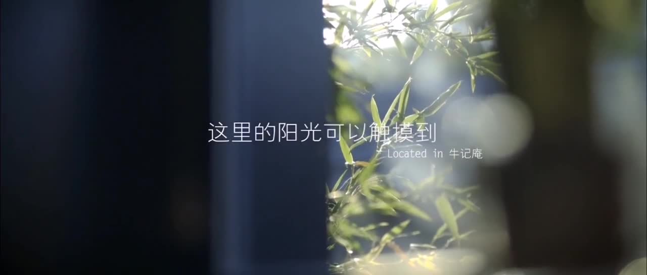 这里的美好只有亲身体验才能感受的到