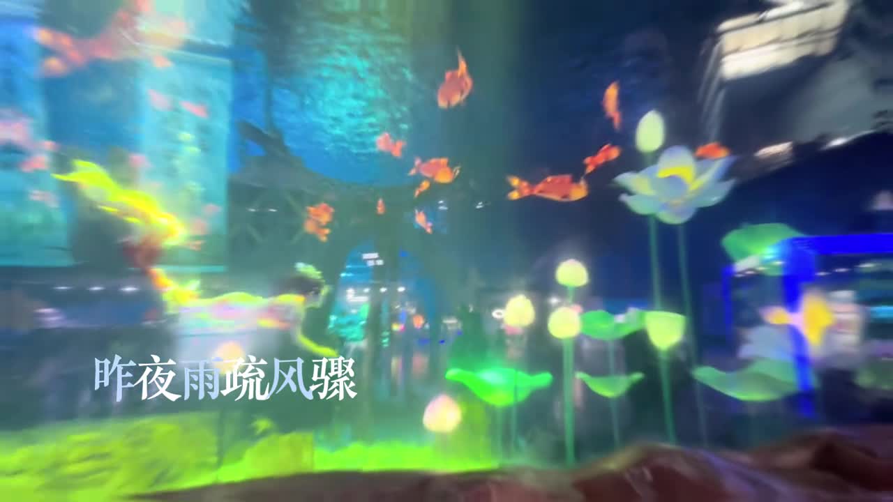 这么美的国风锦鲤人鱼大秀春节快带着家人孩子一起来看吧