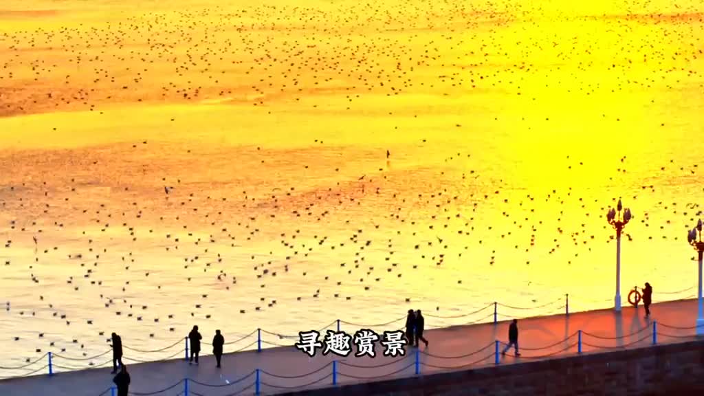 点击立即参与添加话题