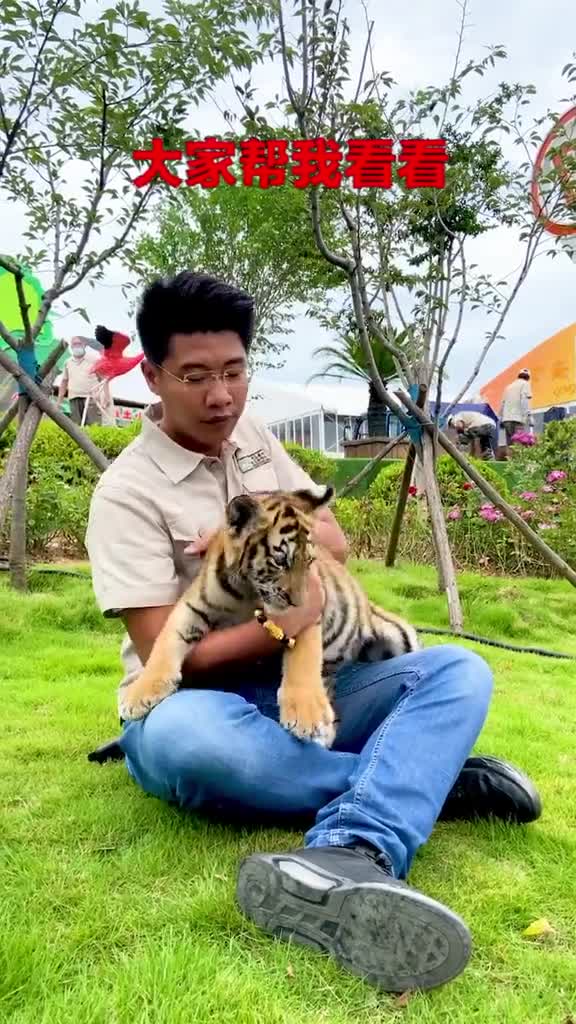 小老虎也来逛青岛国际啤酒节了哈两杯