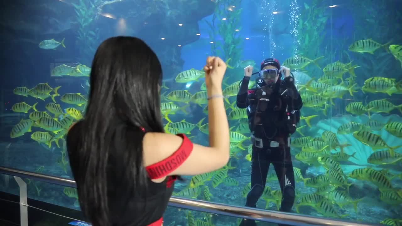 我在水下这么拼真的连小心心都没有吗青岛海底世界抖音小助手