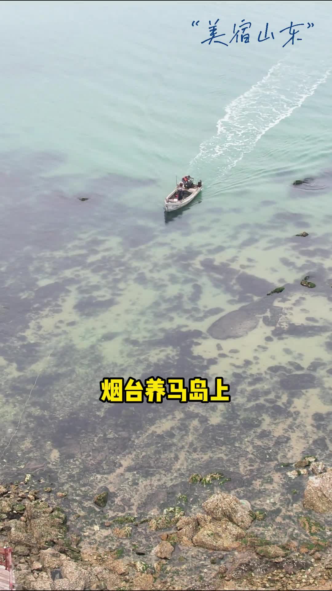 烟台市牟平区海岛日记民宿烟台养马岛海岸停靠着这样一艘船船体高大雪白又像棱角分明的折纸艺术置身其中如同步入是枝裕和的电影白日观海踏浪品咖啡入夜和亲朋友好在全景窗内听海一夜好眠