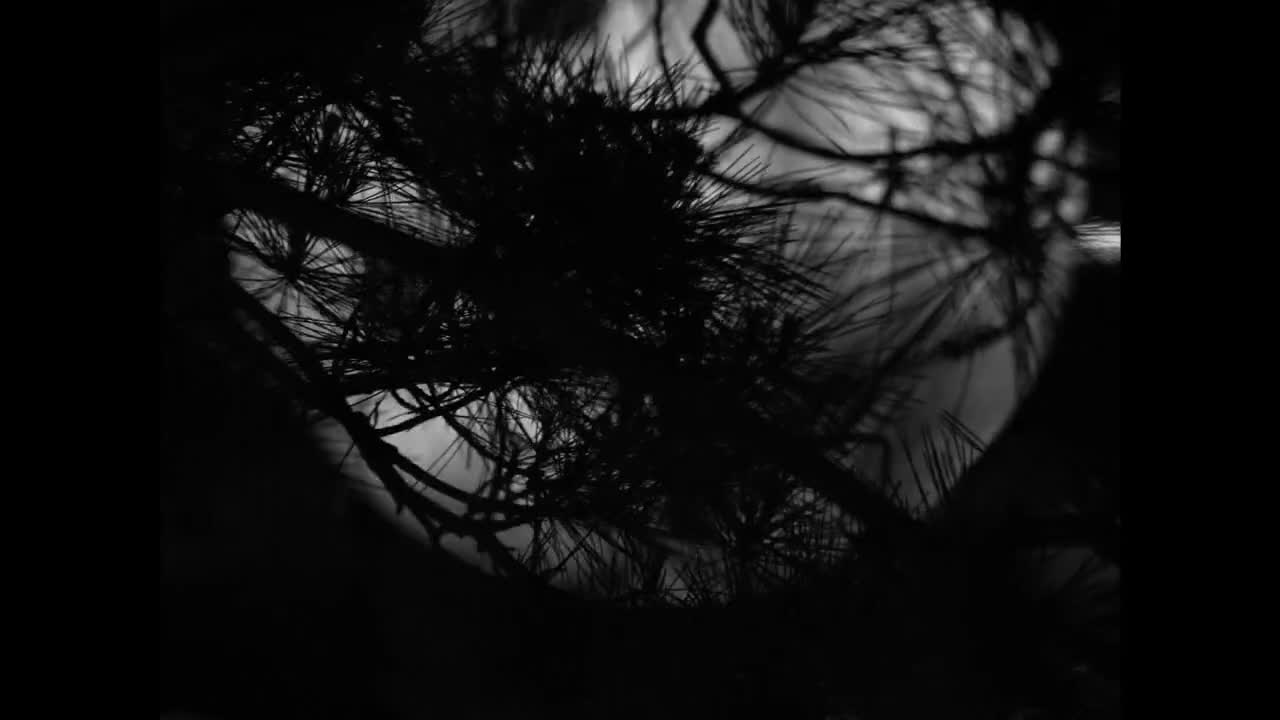 潮玩跨界相拥清风湖休闲之夜点亮东营之光