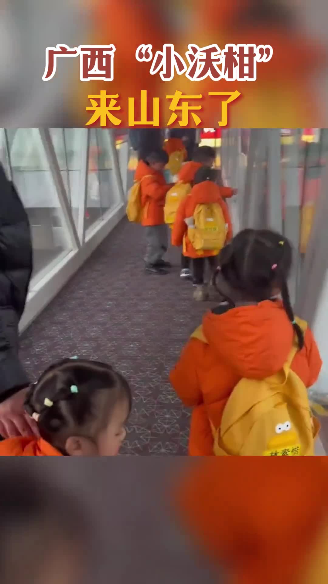 广西小沃柑来山东了山东各地文旅接龙欢迎第一站济南