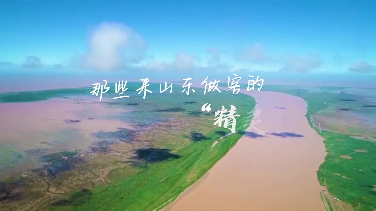 生态好不好小动物最知道好客山东同样欢迎这些小精灵来做客