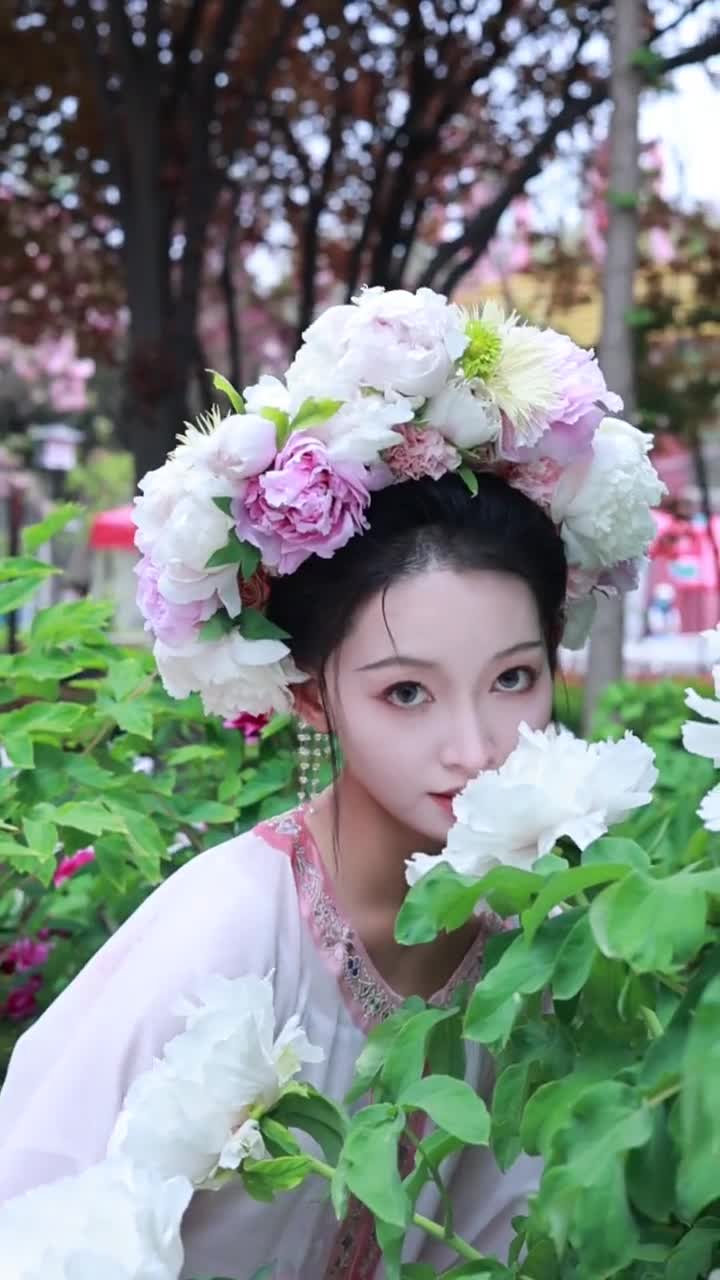 牡丹花已开菏泽等您来