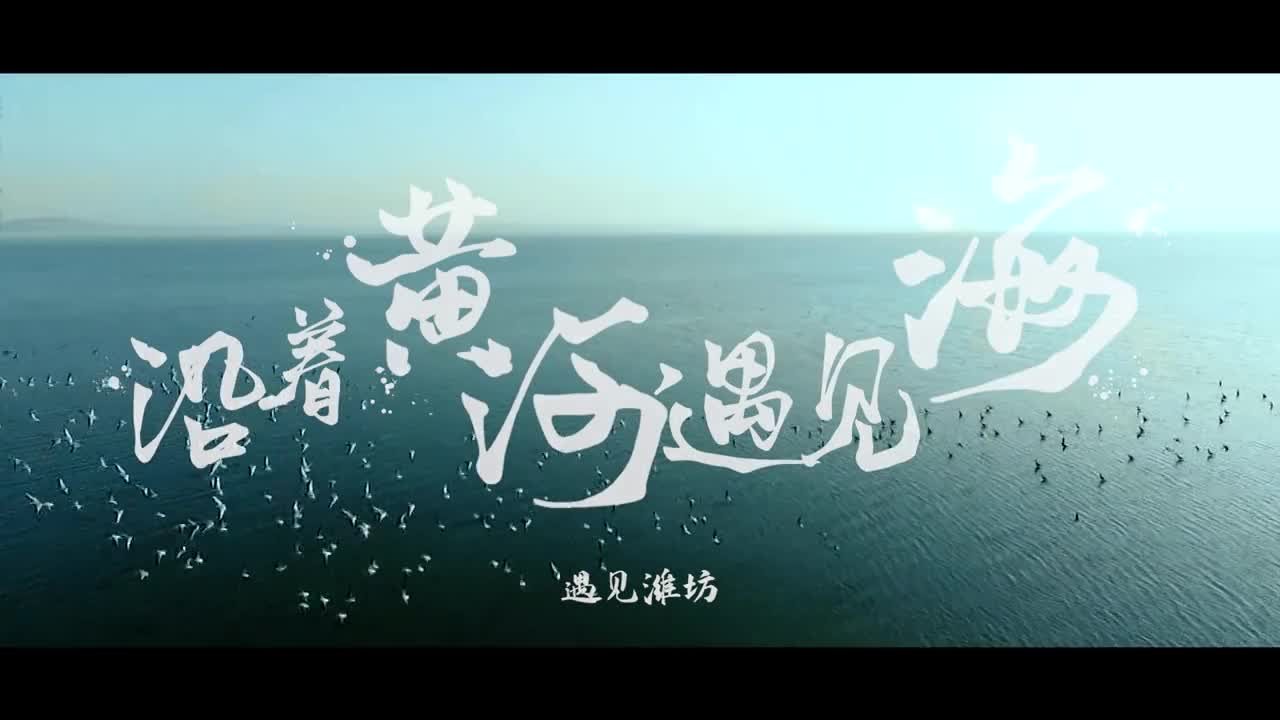 沿着黄河遇见海第十站之遇见潍坊莺乘风游水剪古洲