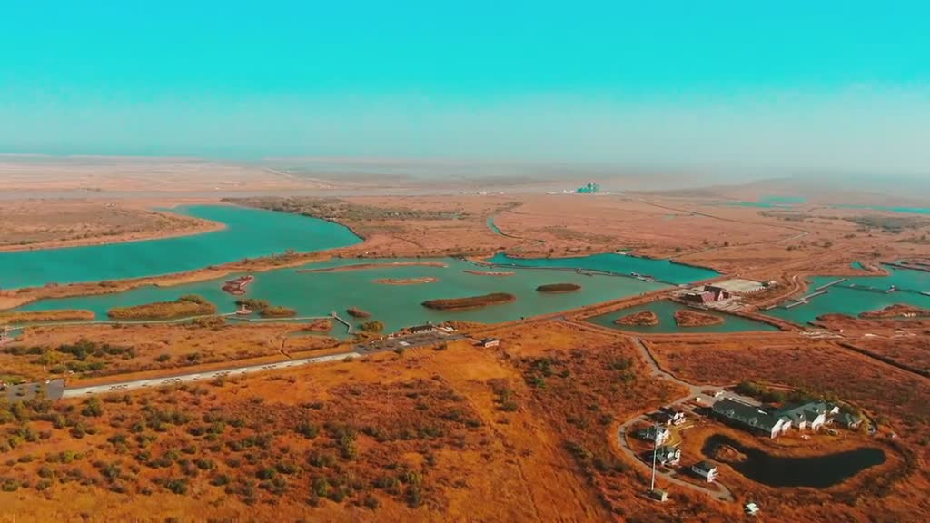 这样广阔的黄河三角洲湿地也只有在东营才能见到了