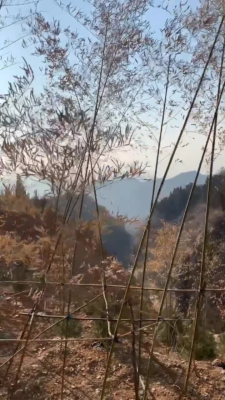 有些事情当我们年轻的时候不懂得当我们懂得的时候已不再年轻