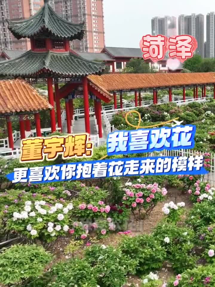 玫瑰你拿才好看风景和你看才浪漫跟着宇辉来山东开启一场甜蜜之旅