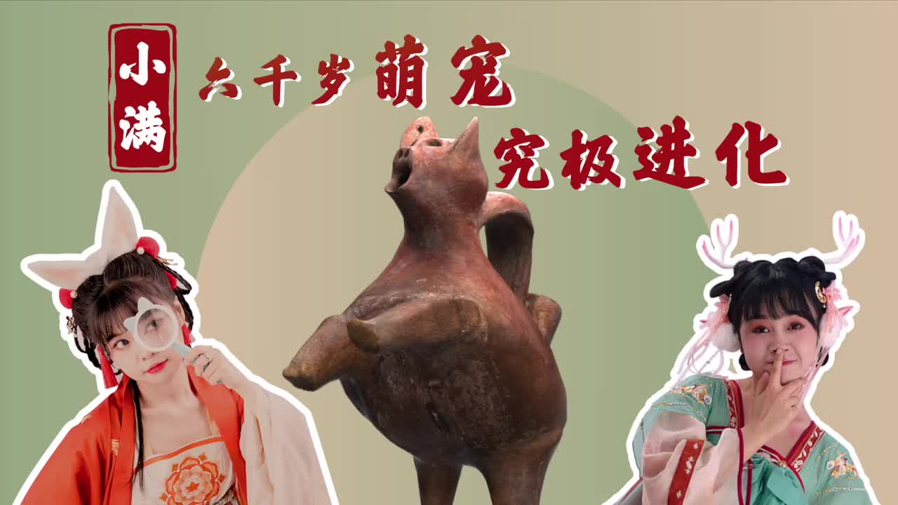 文宝要出道小满一杯看六千年萌宠究极进化