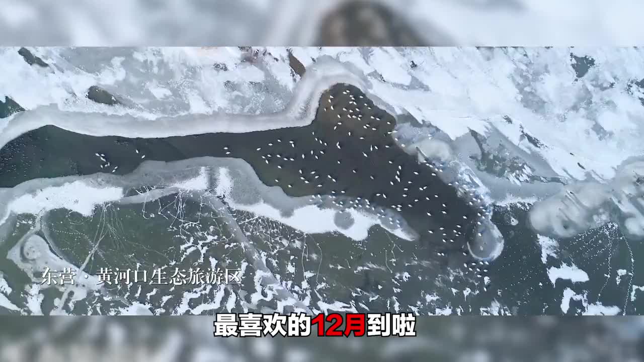 愿你十二月开开心心快快乐乐健健康康平平安安