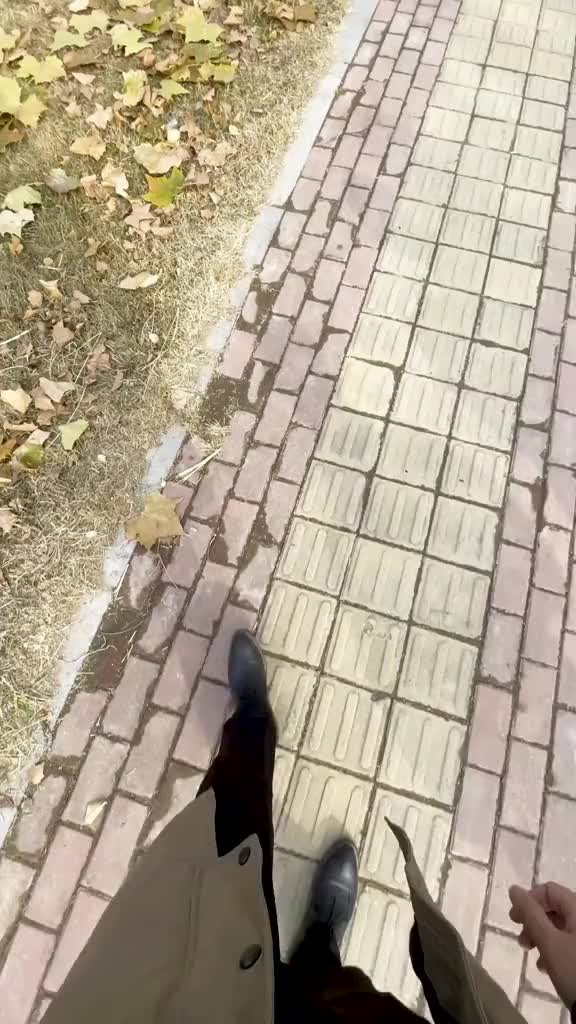 捡到一片叶子不要扔明星小像轻松拥有