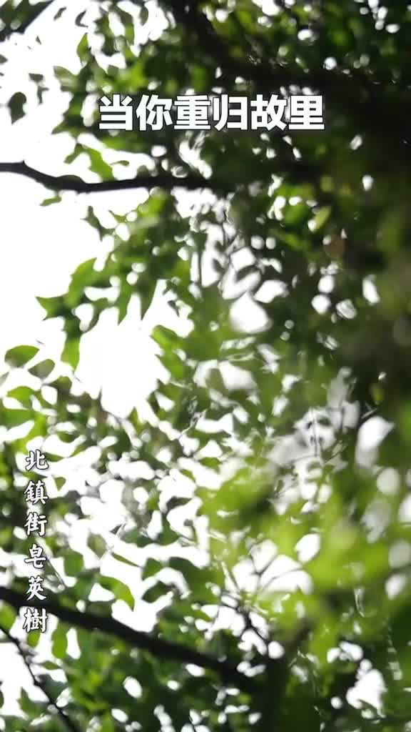 思念的是故乡更是故乡里的童年