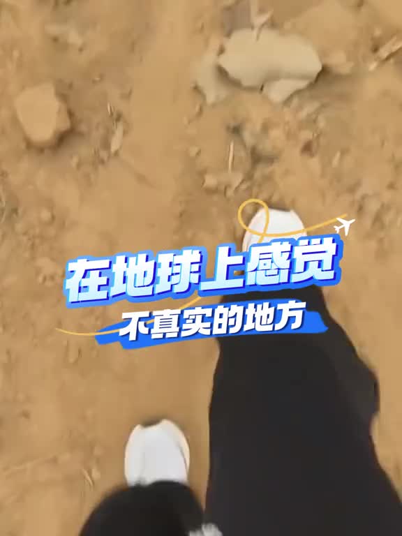 收集了这么多世界上奇奇怪怪的动物当然要分享给你啦