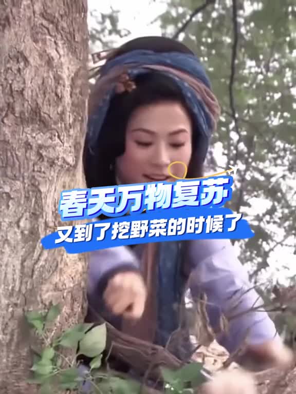 春天到了来看看山东人接下来要开始吃什么