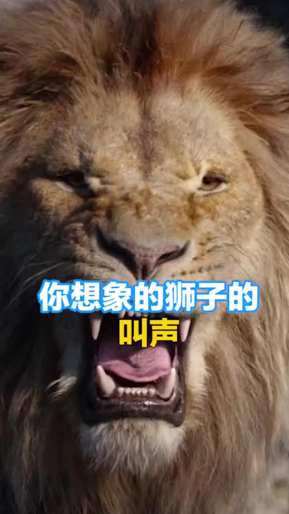 猛兽怒吼我的头可不是面团捏的