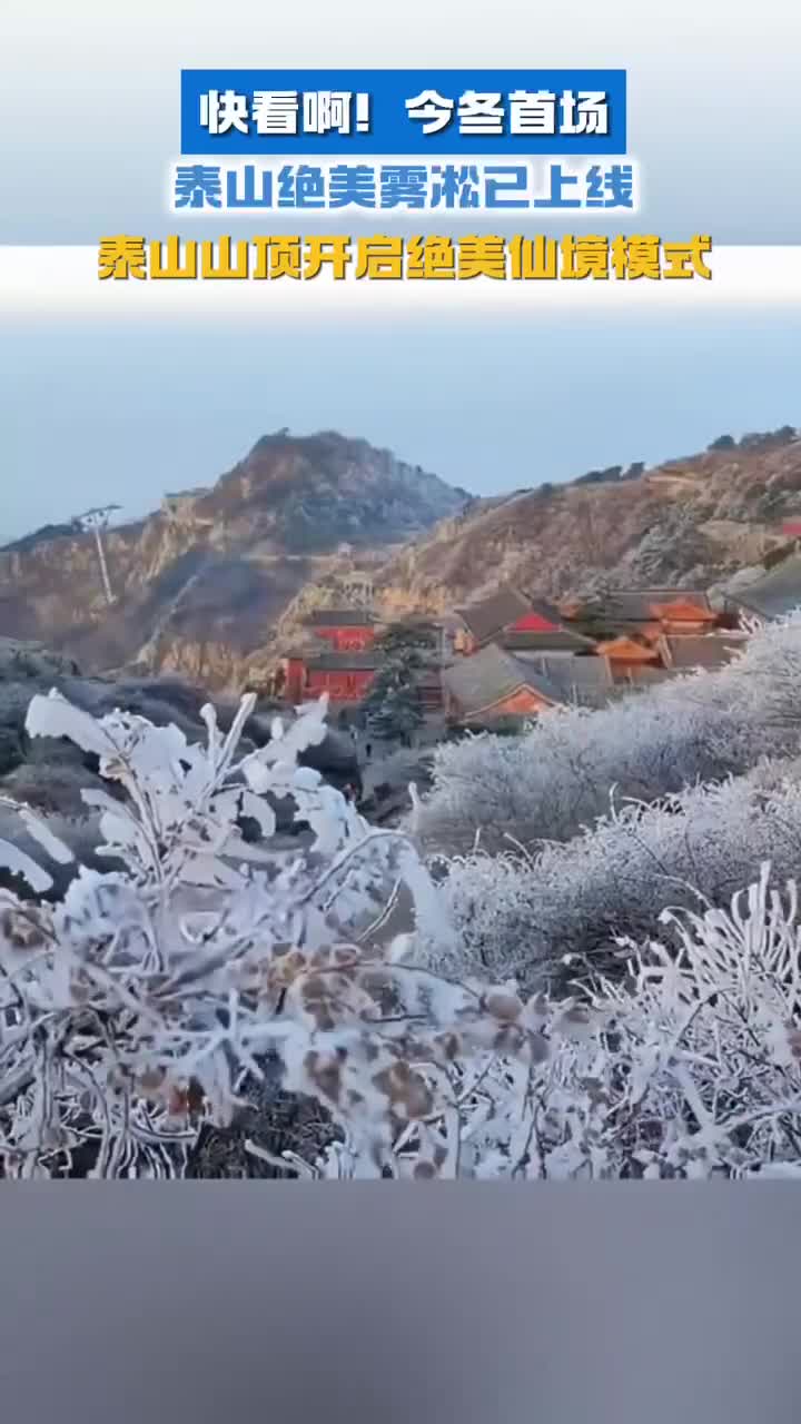 快看啊今冬首场泰山绝美雾凇已上线泰山山顶开启绝美仙境模式
