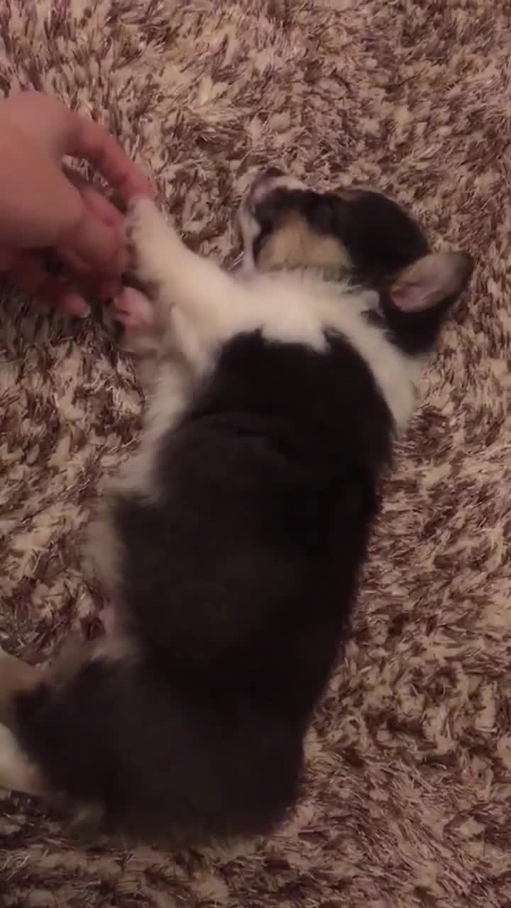 轻松一刻来自汤老师的灵魂拷问还有19天考研学子们加油冲鸭抖音小助手