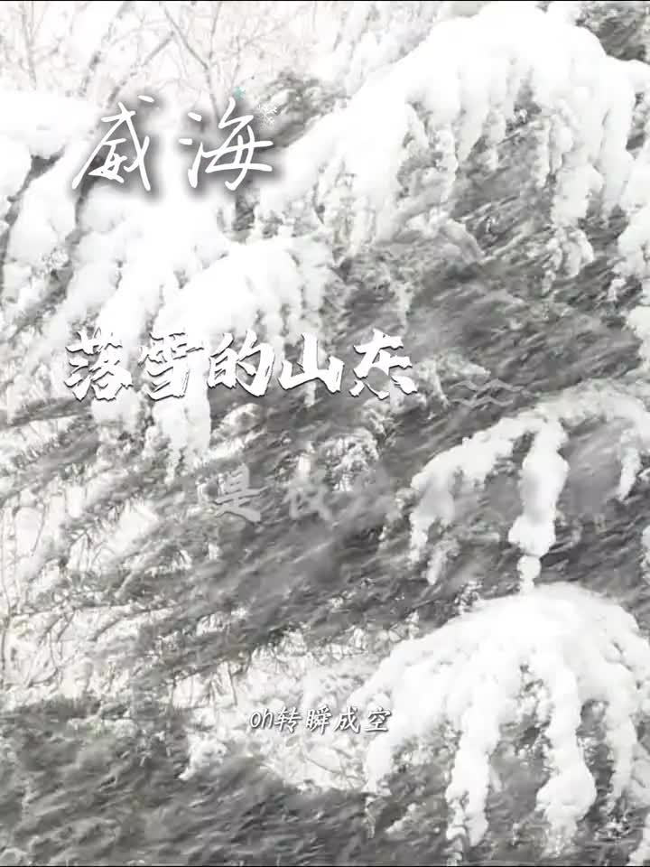 想追求极致的浪漫那就来海边看雪吧山东的雪窝子们又又又下雪了