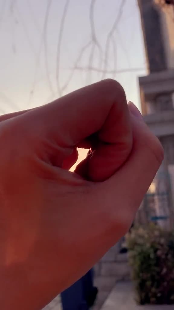 我们难道不是应该把所有的时间空隙都用来想所爱的人嘛