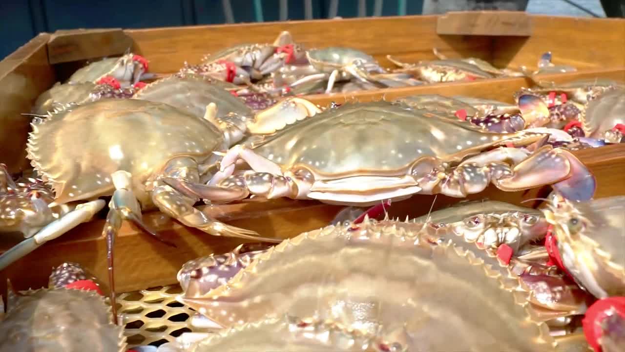 山东3300公里的海鲜盛宴总有一款是你的心头爱趁着刚刚开学来尝尝鲜吧