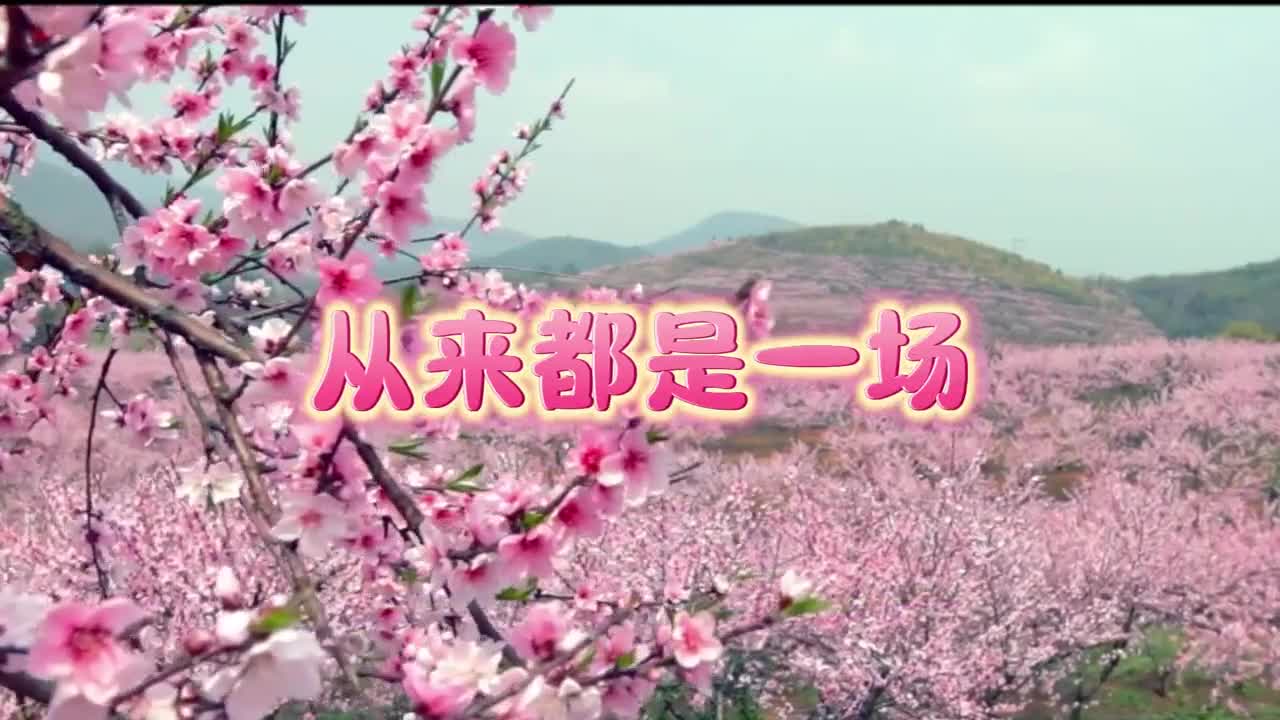 春天从来都是一场盛大的相逢这个周末2024第二届青州花朝节正式开启快来东方花都信美青州看看都有哪些有趣的活动吧