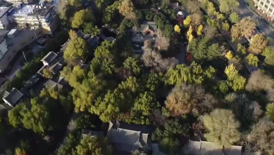 每天中午11点一起来云游齐鲁