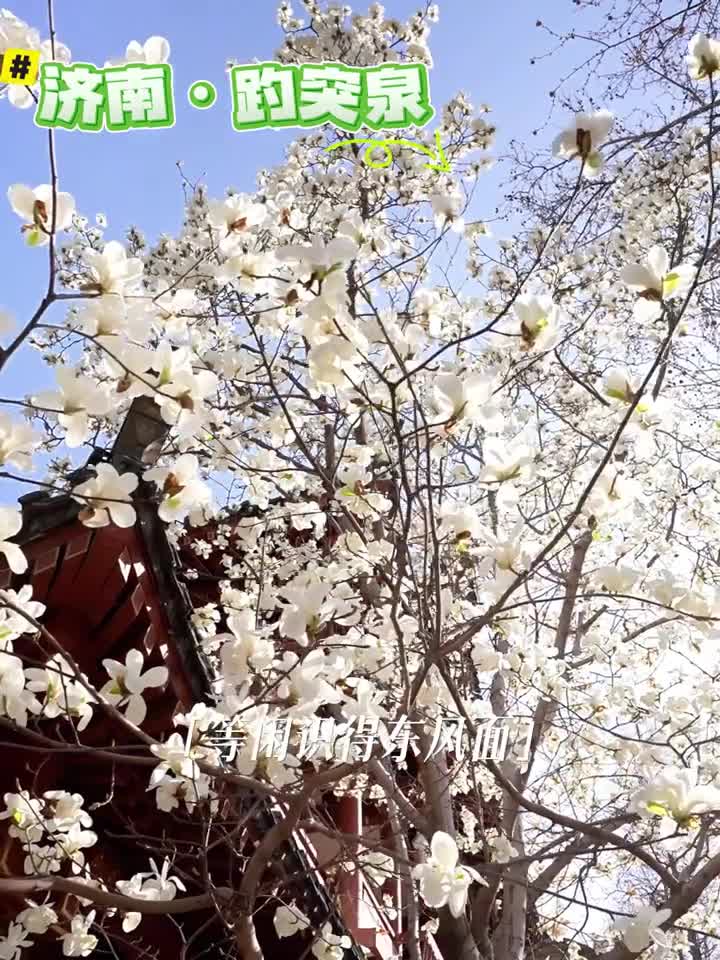 待到春暖花开时和宇辉在山东见一面吧