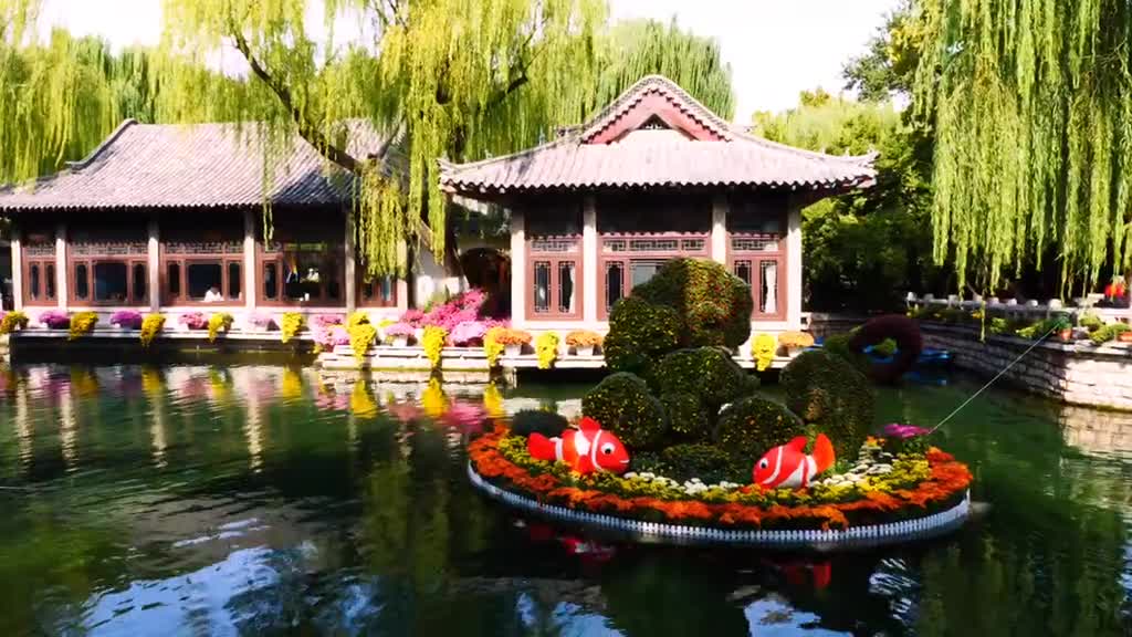 济南趵突泉金秋菊展今日在趵突泉景区正式拉开帷幕展览持续1124百菊赛斗菊大赛插花展一起来打卡