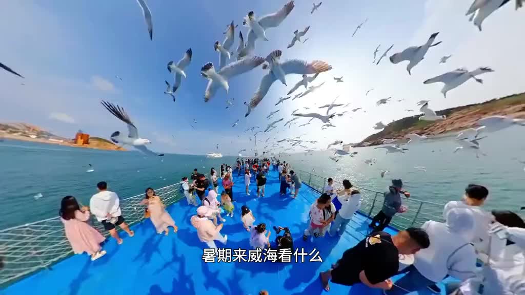 暑期来威海看什么