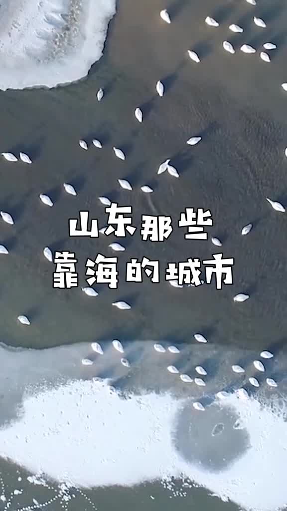 山东靠海的城市可不止烟青威哦