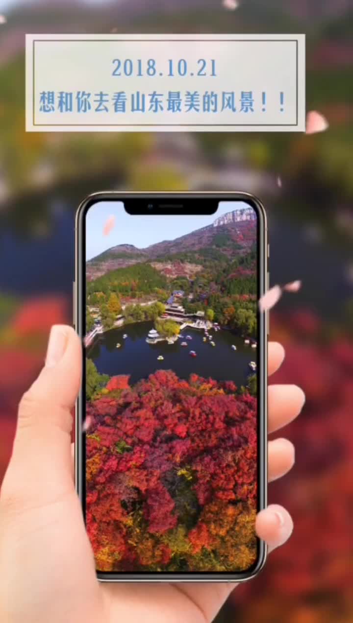 想和你去看最美的风景抖音小助手