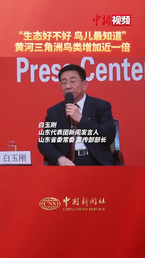 山东代表团新闻发言人生态好不好鸟儿最知道黄河三角洲鸟类增加近一倍