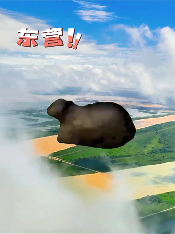 惹到我那我只好跳舞给你看啦