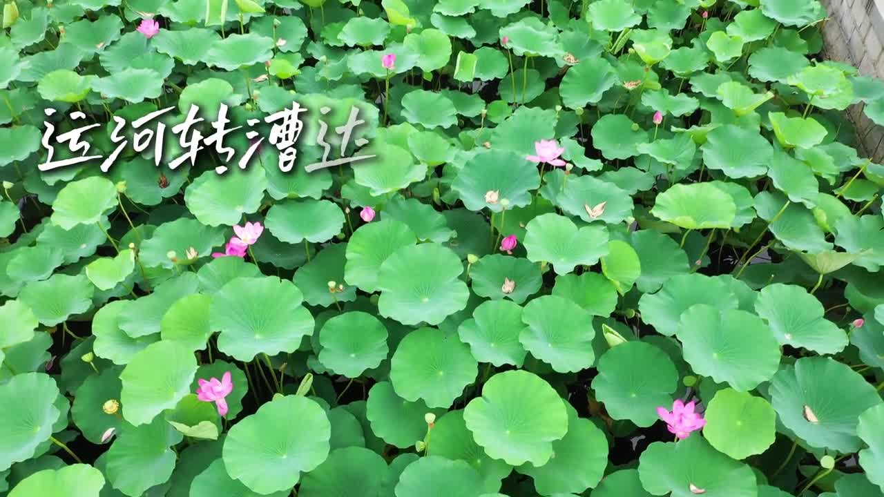 悠悠运河润泽齐鲁大地一起沿着运河山东段欣赏它的千年风韵