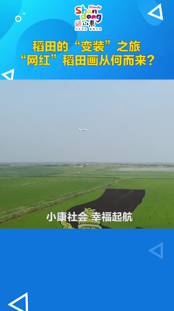 感动又震撼农田上的十字绣农民们用最质朴的方式为祖国种出了最诚挚的祝福