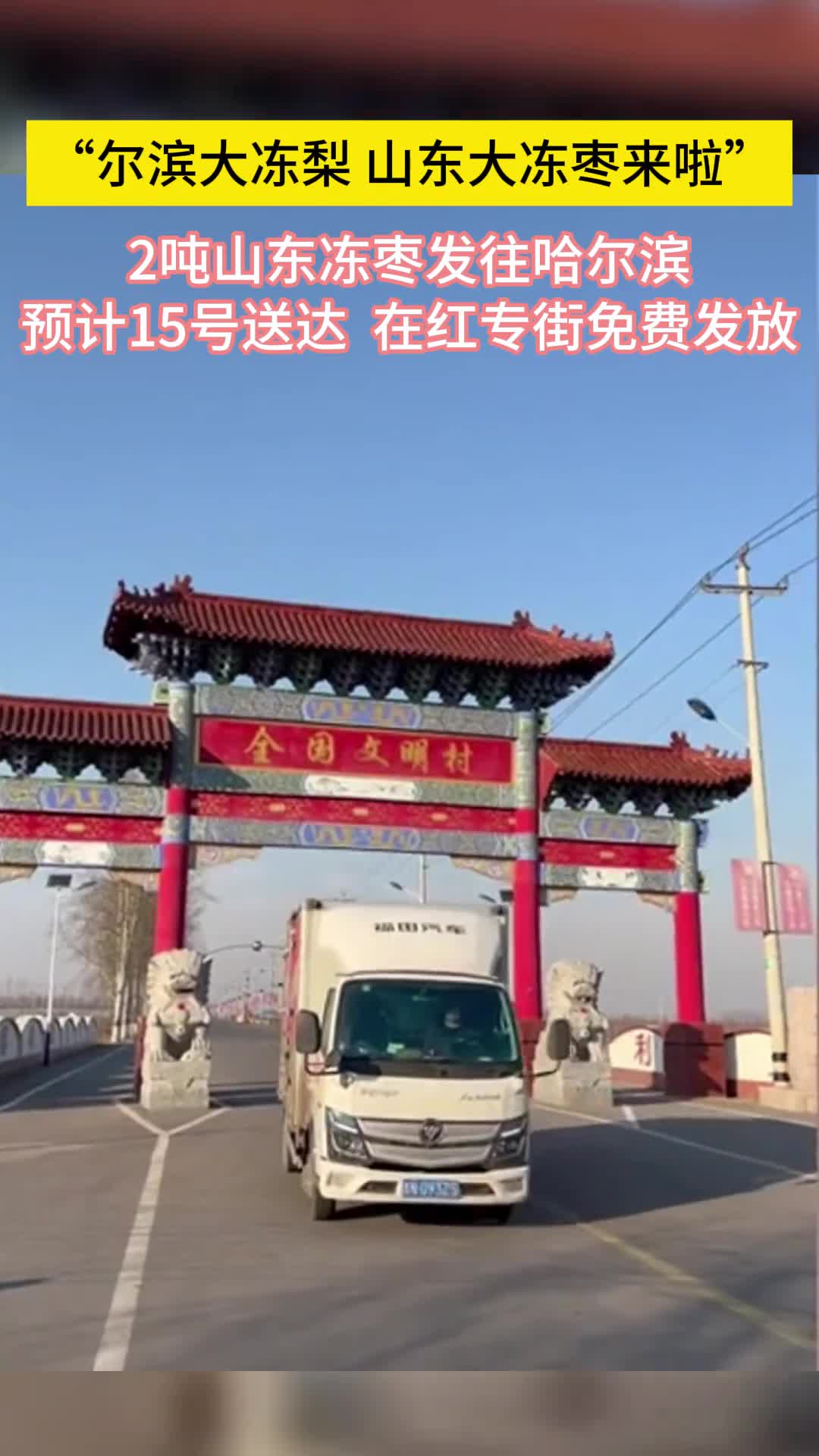 尔滨大冻梨山东大冻枣来啦