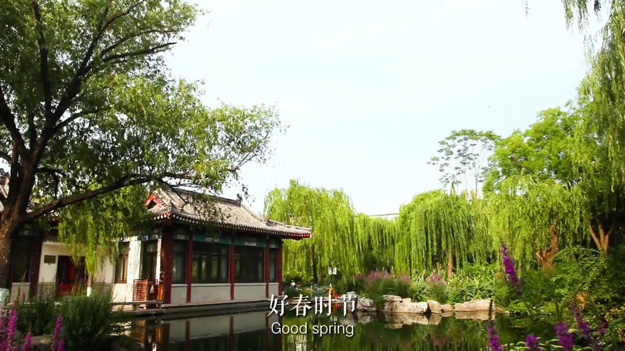 接下来山东即将进入春花烂漫时再出发在山东相遇这里的好春时节