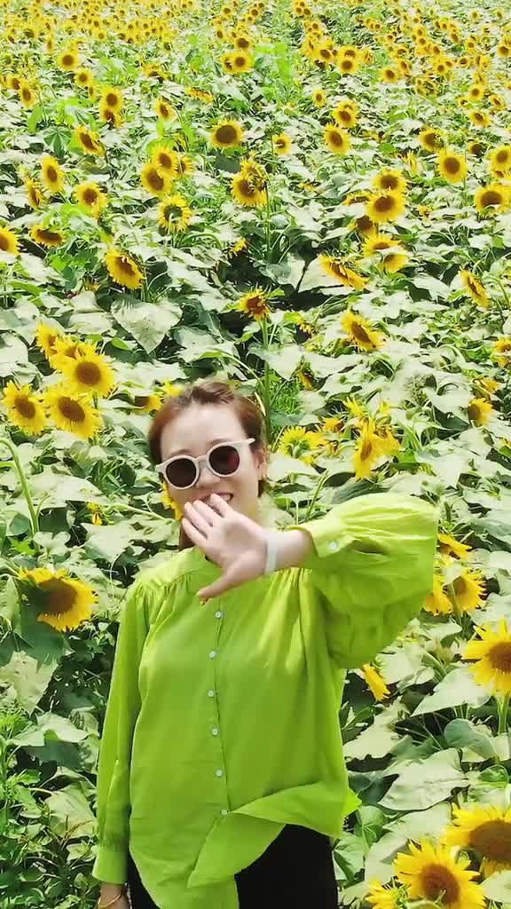 心若向阳何惧忧伤中国最大葵园花海终于绚烂绽放